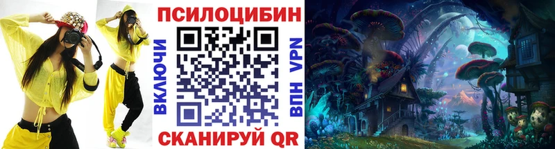 Галлюциногенные грибы Psilocybe Лесосибирск