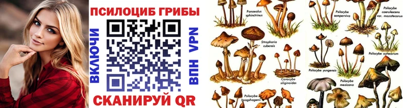 Галлюциногенные грибы GOLDEN TEACHER купить наркотик гидра вход Лесосибирск